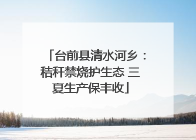 台前县清水河乡：秸秆禁烧护生态 三夏生产保丰收