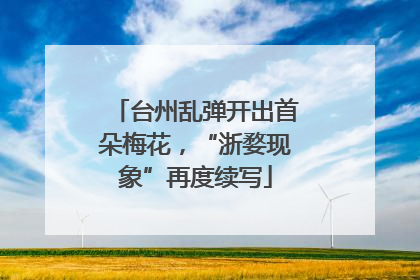 台州乱弹开出首朵梅花，“浙婺现象”再度续写