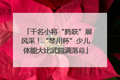 千名小将“腾跃”展风采！“琴川杯”少儿体能大比武圆满落幕