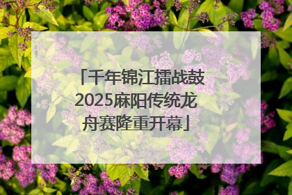 千年锦江擂战鼓 2025麻阳传统龙舟赛隆重开幕