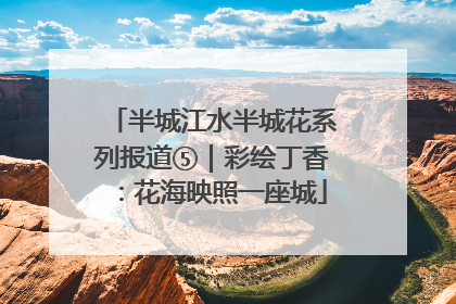 半城江水半城花系列报道⑤｜彩绘丁香：花海映照一座城