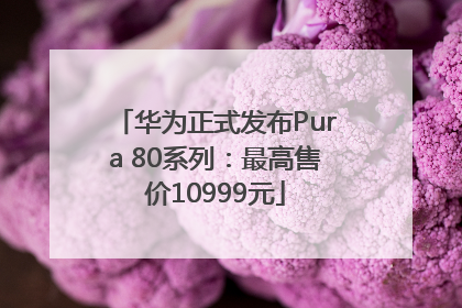 华为正式发布Pura 80系列：最高售价10999元