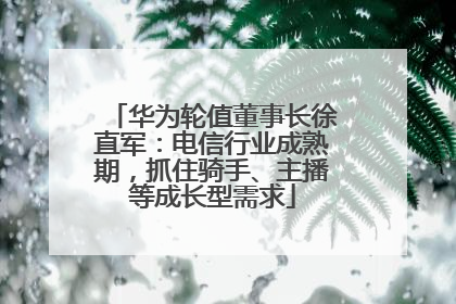 华为轮值董事长徐直军：电信行业成熟期，抓住骑手、主播等成长型需求