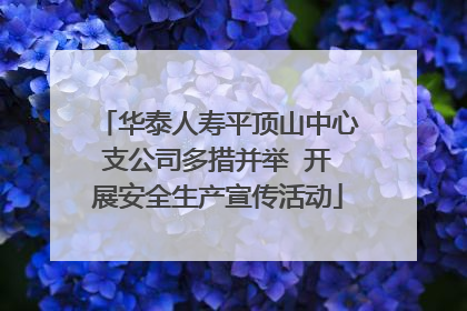 华泰人寿平顶山中心支公司多措并举  开展安全生产宣传活动