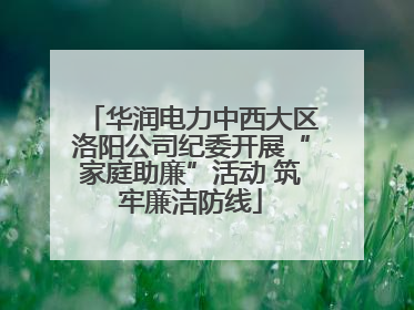 华润电力中西大区洛阳公司纪委开展“家庭助廉”活动 筑牢廉洁防线