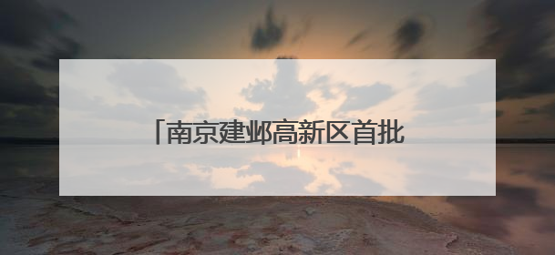 南京建邺高新区首批信创消费券兑现！第二批申报即将启动