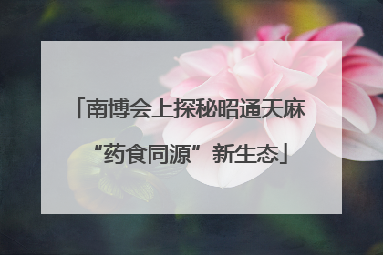 南博会上探秘昭通天麻“药食同源”新生态