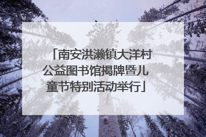 南安洪濑镇大洋村公益图书馆揭牌暨儿童节特别活动举行