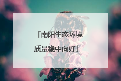 南阳生态环境质量稳中向好