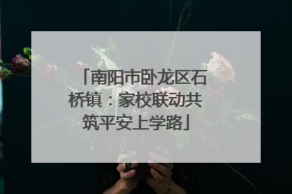 南阳市卧龙区石桥镇：家校联动共筑平安上学路
