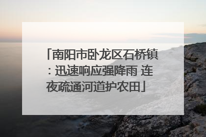 南阳市卧龙区石桥镇：迅速响应强降雨 连夜疏通河道护农田