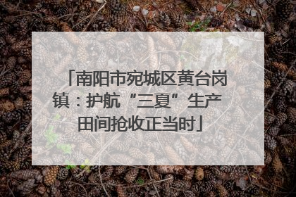 南阳市宛城区黄台岗镇：护航“三夏”生产 田间抢收正当时