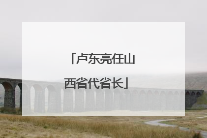 卢东亮任山西省代省长