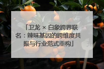 卫龙 × 白象跨界联名：辣味基因的跨维度共振与行业范式重构