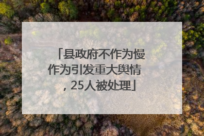 县政府不作为慢作为引发重大舆情，25人被处理
