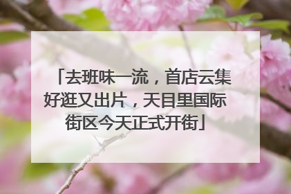 去班味一流，首店云集好逛又出片，天目里国际街区今天正式开街