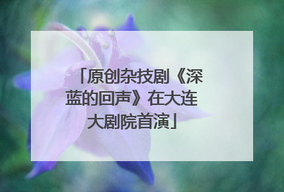 原创杂技剧《深蓝的回声》在大连大剧院首演
