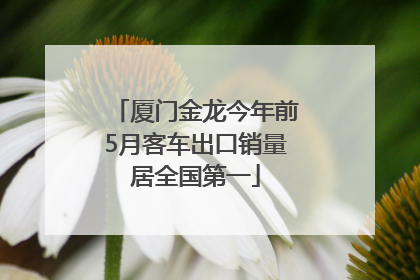 厦门金龙今年前5月客车出口销量居全国第一