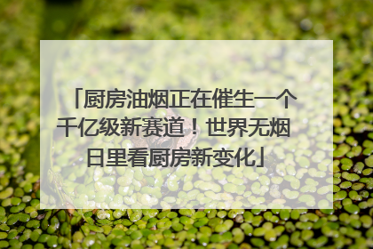 厨房油烟正在催生一个千亿级新赛道！世界无烟日里看厨房新变化