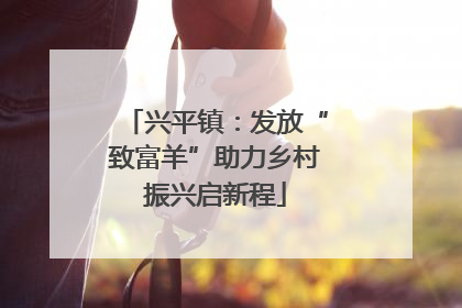 兴平镇：发放“致富羊”助力乡村振兴启新程