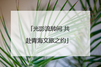 光影流转间 共赴青海文旅之约