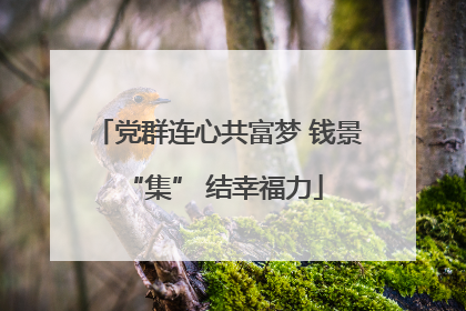 党群连心共富梦 钱景 “集” 结幸福力