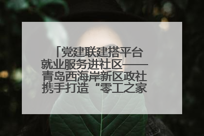 党建联建搭平台 就业服务进社区——青岛西海岸新区政社携手打造“零工之家”就业服务新阵地