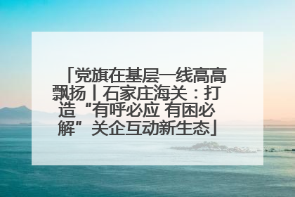 党旗在基层一线高高飘扬丨石家庄海关：打造“有呼必应 有困必解”关企互动新生态