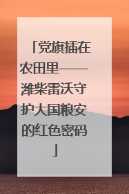 党旗插在农田里——潍柴雷沃守护大国粮安的红色密码