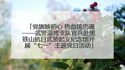党旗映初心 热血铸忠魂——武警淄博支队官兵赴黑铁山抗日武装起义纪念馆开展“七一”主题党日活动