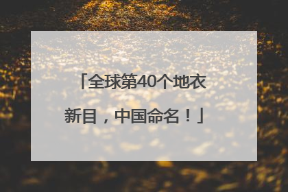 全球第40个地衣新目，中国命名！