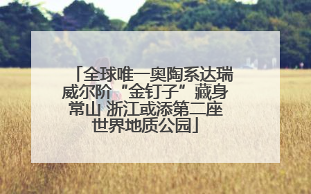 全球唯一奥陶系达瑞威尔阶“金钉子”藏身常山 浙江或添第二座世界地质公园
