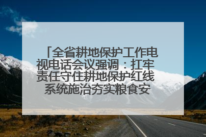 全省耕地保护工作电视电话会议强调：扛牢责任守住耕地保护红线 系统施治夯实粮食安全根基 王宁作出批示 王予波出席并讲话