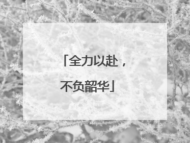 全力以赴，不负韶华
