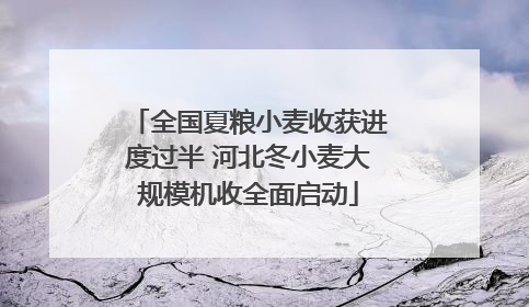 全国夏粮小麦收获进度过半 河北冬小麦大规模机收全面启动