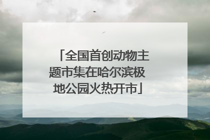 全国首创动物主题市集在哈尔滨极地公园火热开市
