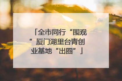 全市同行“围观”厦门湖里台青创业基地“出圈”