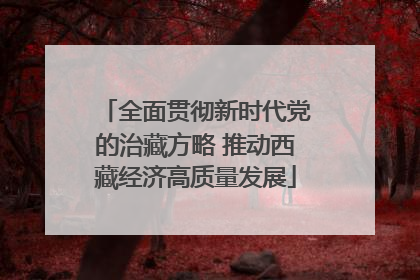 全面贯彻新时代党的治藏方略 推动西藏经济高质量发展
