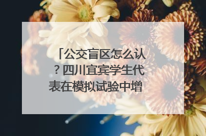 公交盲区怎么认？四川宜宾学生代表在模拟试验中增强乘车安全意识