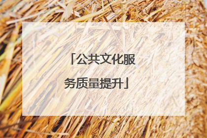公共文化服务质量提升