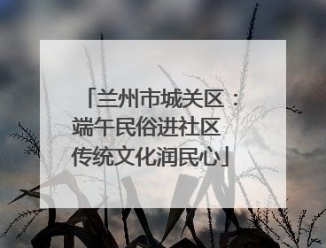 兰州市城关区：端午民俗进社区 传统文化润民心