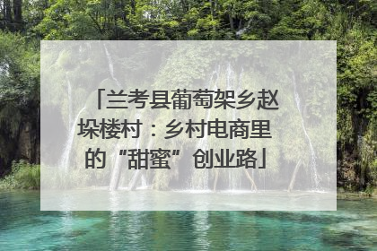 兰考县葡萄架乡赵垛楼村：乡村电商里的“甜蜜”创业路