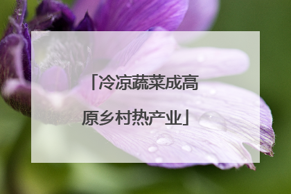 冷凉蔬菜成高原乡村热产业
