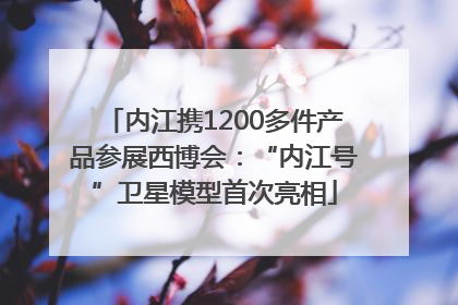 内江携1200多件产品参展西博会：“内江号”卫星模型首次亮相