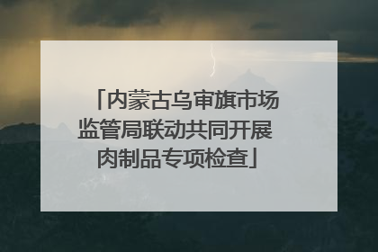 内蒙古乌审旗市场监管局联动共同开展肉制品专项检查