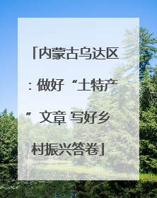 内蒙古乌达区：做好“土特产”文章 写好乡村振兴答卷
