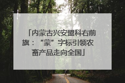 内蒙古兴安盟科右前旗：“蒙”字标引领农畜产品走向全国