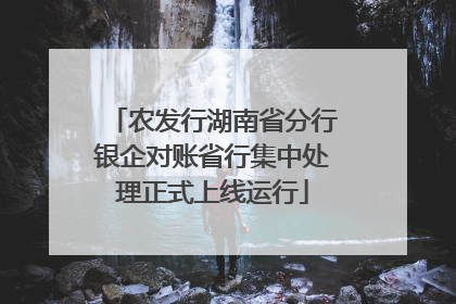 农发行湖南省分行银企对账省行集中处理正式上线运行