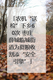 农机“送检”下乡60次 枣庄薛城临城街道为夏粮收割添“安全引擎”