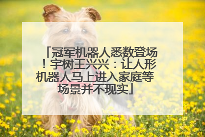 冠军机器人悉数登场！宇树王兴兴：让人形机器人马上进入家庭等场景并不现实